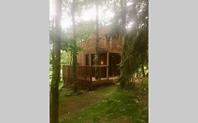 Adorable Cabane dans un espace boisé